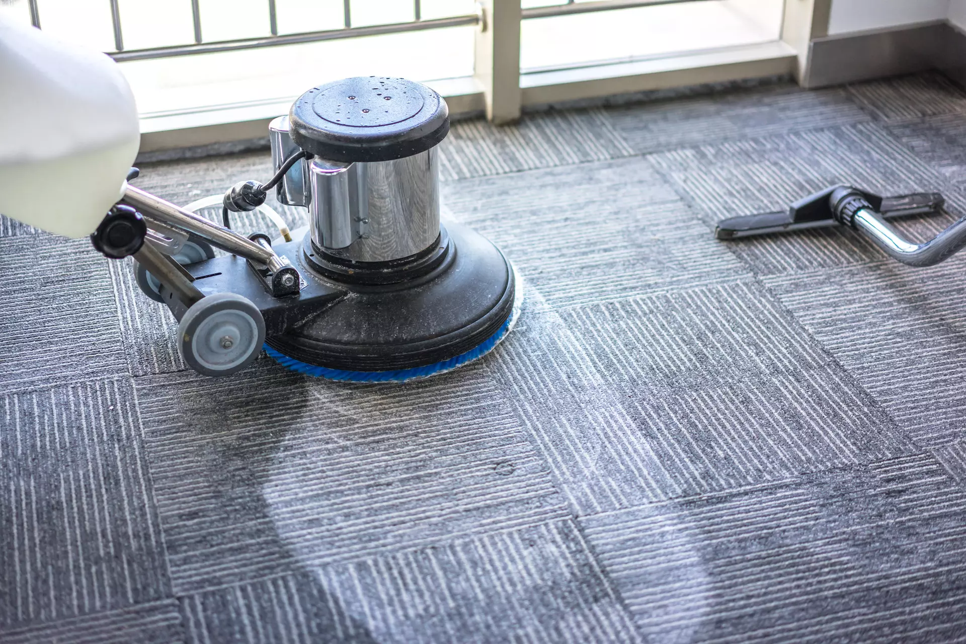 Common Challenges in Carpet Cleaning for Chicago Homes and Effective Solutions to Overcome Them
